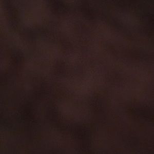 Meet your Posher, Bella